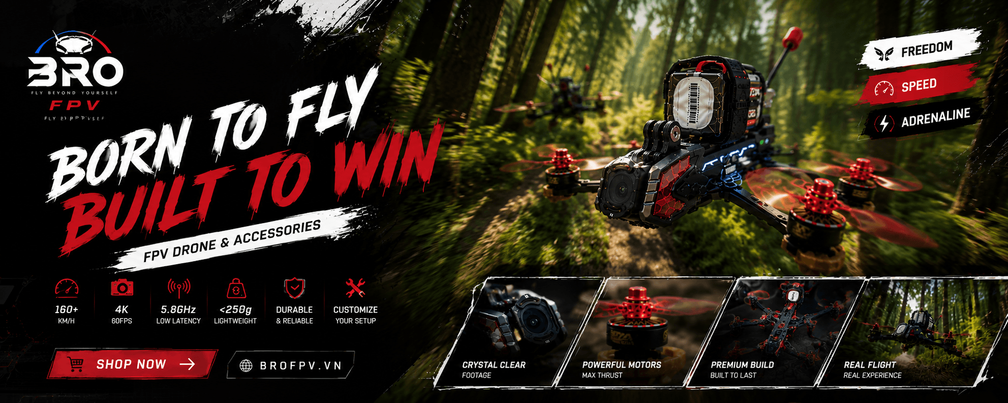ChatGPT Image May 14, 2026, 12_47_11 AM (1)